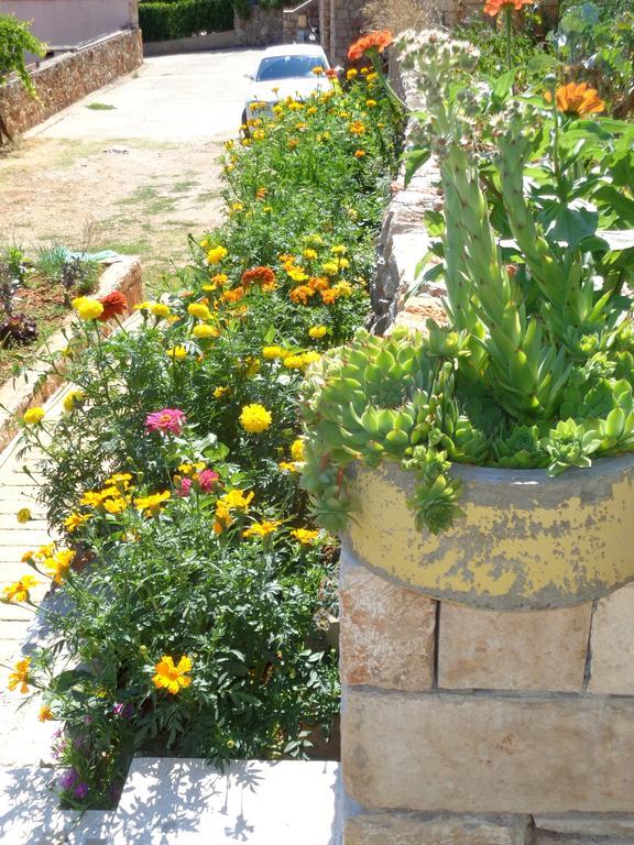Apartments Skrivaneli ييلسا المظهر الخارجي الصورة