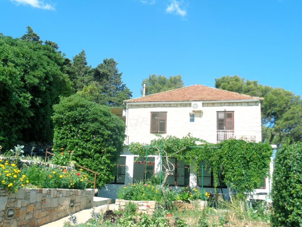 Apartments Skrivaneli ييلسا المظهر الخارجي الصورة